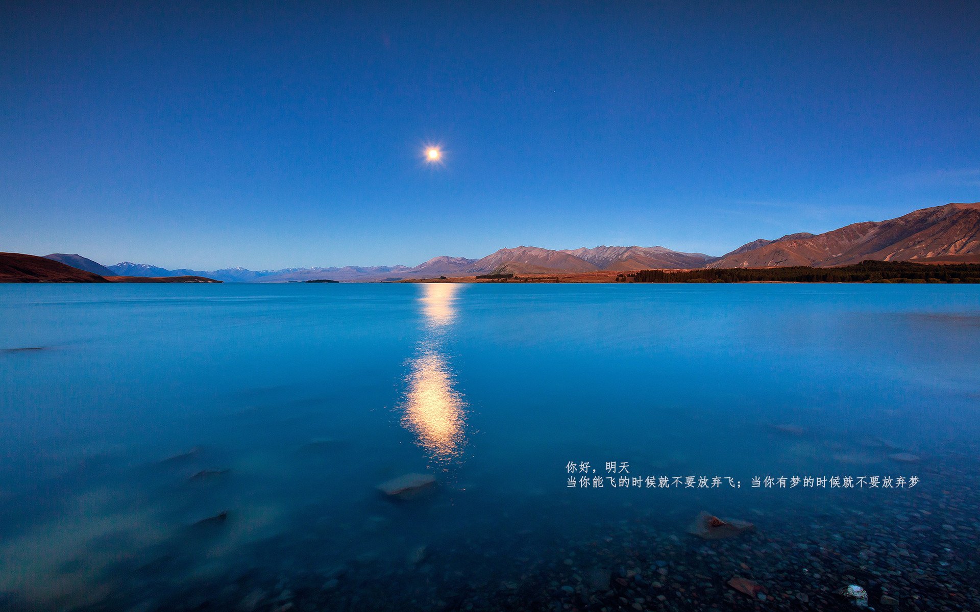 北欧神话破灭之夜,勒沃库森闪电战击碎芬兰童话,锁定年度焦点之战王座