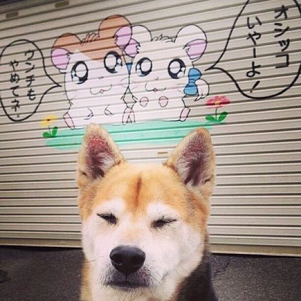 篮球的双重奏,莫兰特爆发的野性美学与北京队掌控节奏的东方智慧