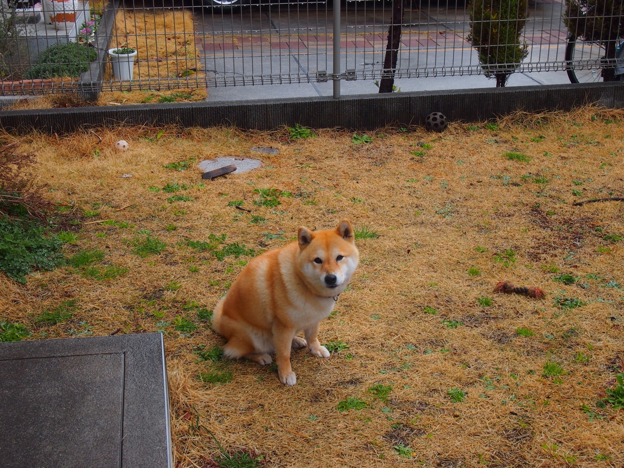 当足球遇上地理课,加拿大把伊拉克塞进背包带走了