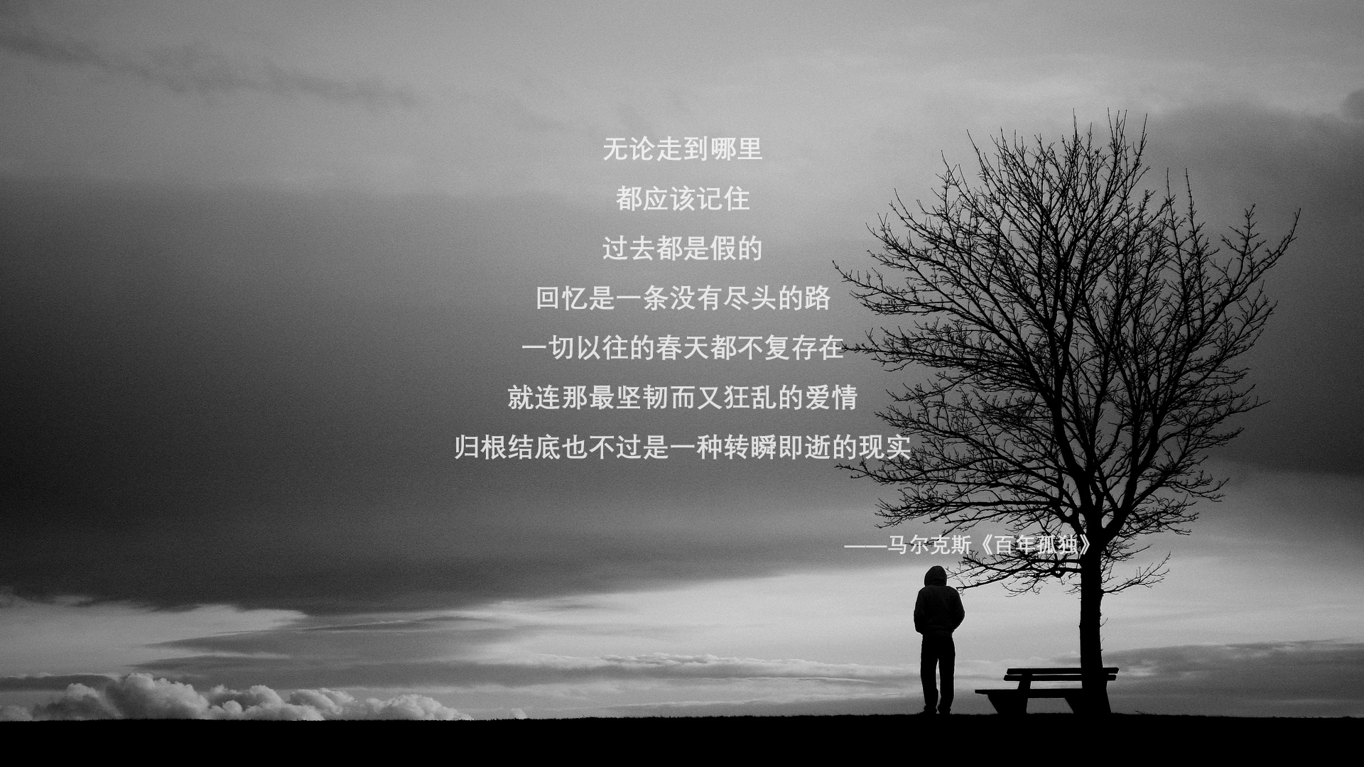文化冷战，当德比战超越绿茵场—阿劳霍如何化身波斯铁骑，在德甲争冠战中粉碎芬兰基因