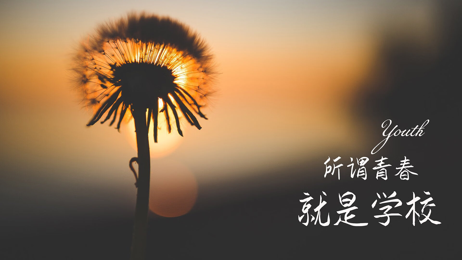 2026世界杯F组焦点战，智利新王登基，坎塞洛的独裁统治与美国队的无声溃败
