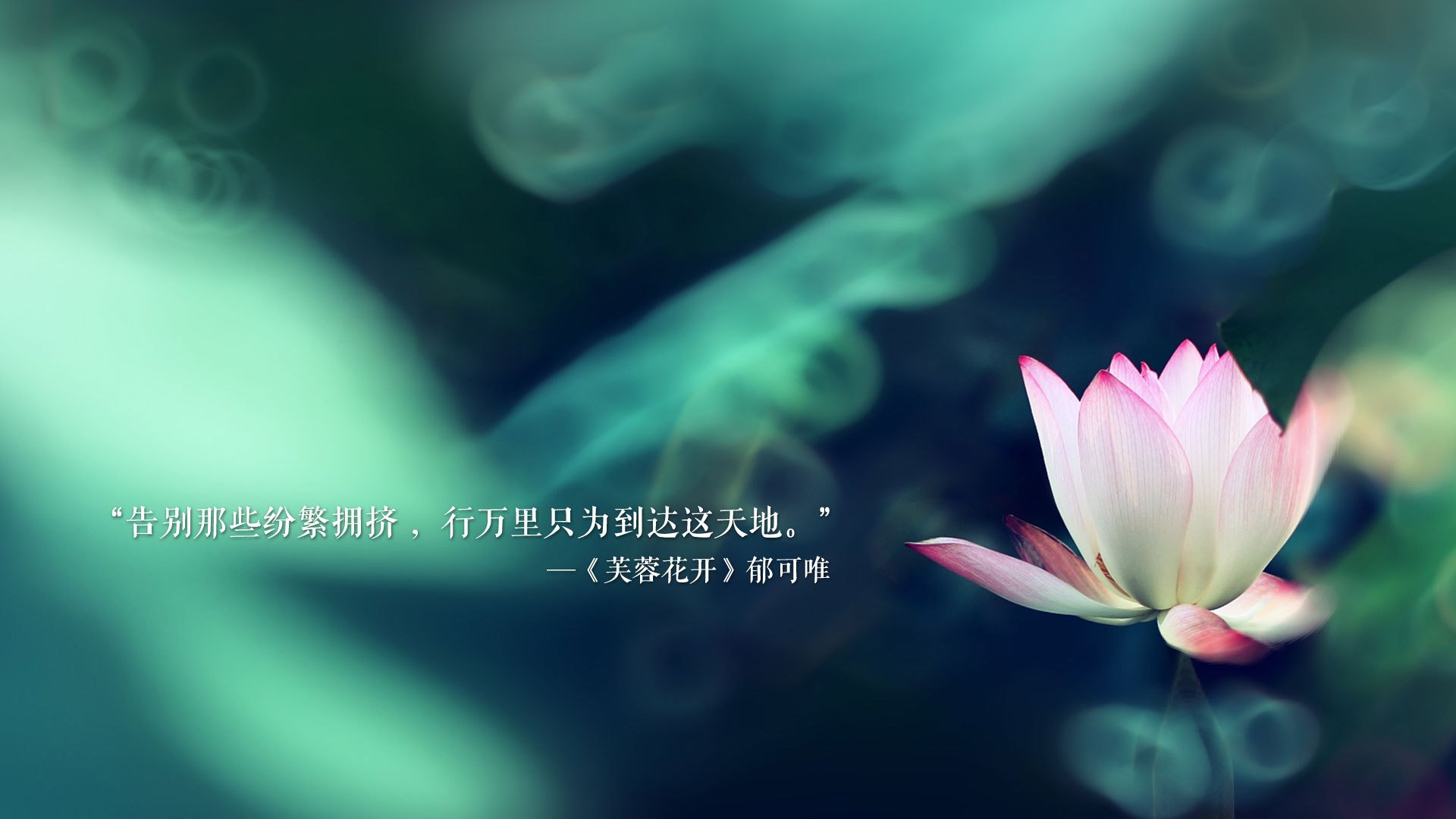唯一性，当C罗的火热被错位时空，写进墨西哥的胜利