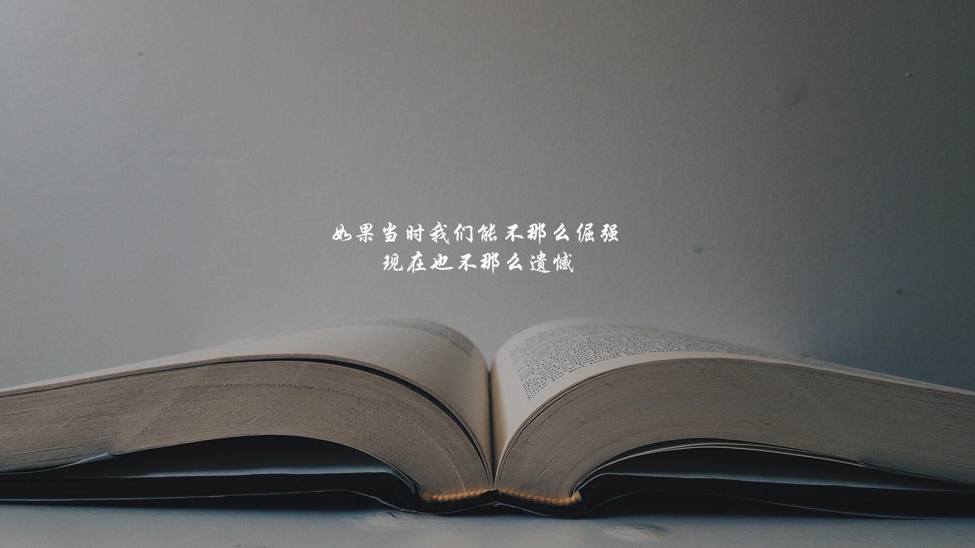 当精密瑞士军刀遇上铁血战车，范戴克统帅的空间革命如何终结伊拉克防线的最后幻想